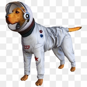 Cosmo The Spacedog, HD Png Download - cosmo png