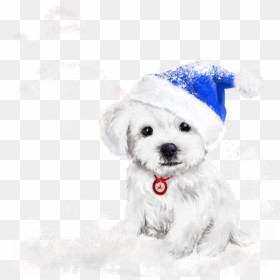 Merry Christmas Dog, HD Png Download - att png