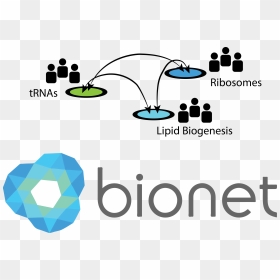 How Can The Biokernel Be Collaboratively Developed - Bionet Platform, HD Png Download - ribosomes png