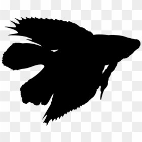 Fighter Fish In Chennai, HD Png Download - white silhouette png