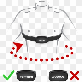 External Heart Rate Monitor, HD Png Download - heart monitor png