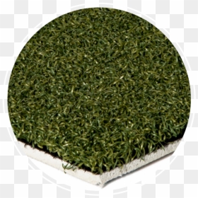 Hedge, HD Png Download - turf png