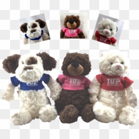 Teddy Bear, HD Png Download - stuffed animals png