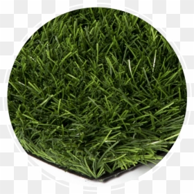 Thread, HD Png Download - turf png