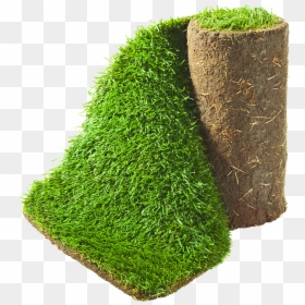 Sod, HD Png Download - turf png