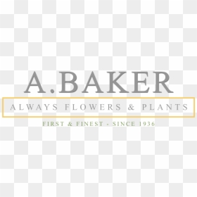 Calligraphy, HD Png Download - babys breath png