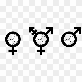 Transgender Pride Symbol, HD Png Download - lesbian symbol png