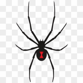 Black Widow Spider Svg, HD Png Download - black widow symbol png