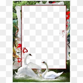 Hd Love Frames For Photoshop, HD Png Download - love frame png