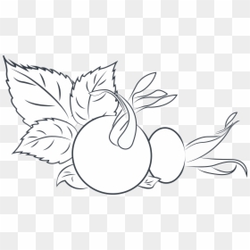 Illustration, HD Png Download - black rose petals png