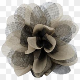 Black Rose Petals Png, Transparent Png - black rose petals png