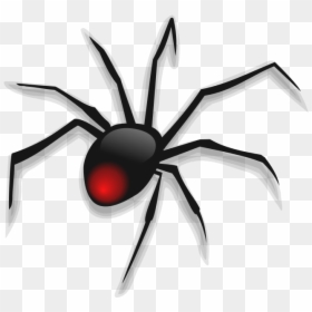 Black Widow Spider, HD Png Download - black widow symbol png