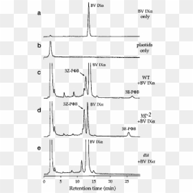 Diagram, HD Png Download - yg png