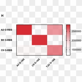 O Fig6c - Coquelicot, HD Png Download - ribosomes png