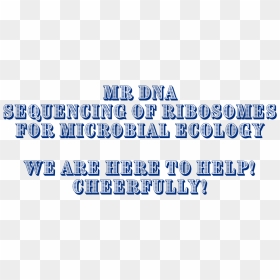 Mr Dna Sequencing Of Ribosomes For Microbial Ecology - Calligraphy, HD Png Download - ribosomes png