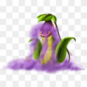 Victreebel Used Poison Powder By Yggdrassal, HD Png Download - victreebel png