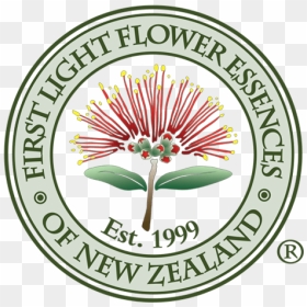 First Light Flower Essences Logo Design - Label, HD Png Download - kerrigan png