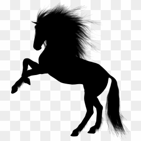 Thumb Image - Rearing Horse Silhouette Png, Transparent Png - stallion png