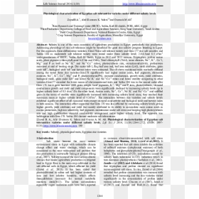 Document, HD Png Download - salt life png