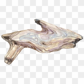 Portable Network Graphics, HD Png Download - drift wood png
