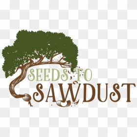 Seeds To Sawdust - Tree, HD Png Download - saw dust png
