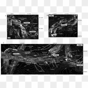 Tobi Side-scan Sonar Images And Superimposed Bathymetry - Aerial Photography, HD Png Download - tobi png