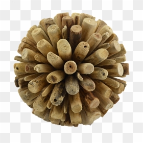 Driftwood Decorative Ball 6" - Breakwater Bay Hoover Natural Wood Sphere, HD Png Download - drift wood png