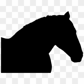 Portable Network Graphics, HD Png Download - stallion png