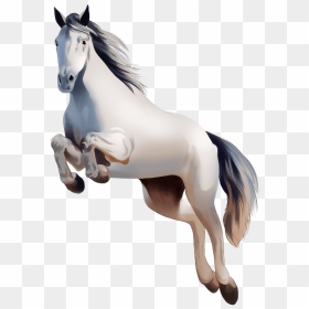 Irish Sport Horse Clipart - Stallion, HD Png Download - stallion png