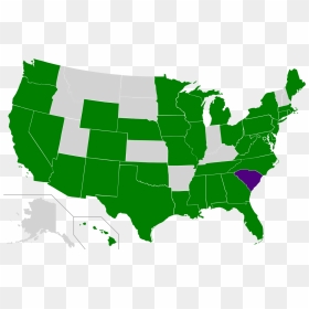 116th Congress Senate Map, HD Png Download - jill stein png