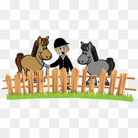Krystal Creek Riding Horse - Horse Riding School Cartoon, HD Png Download - krystal png