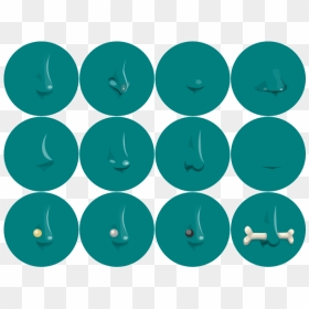 Noses Of Glitch - Colores Favoritos De Virgo, HD Png Download - glitch png transparent