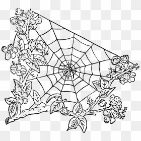 Portable Network Graphics, HD Png Download - spider web texture png
