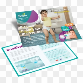 Leaflet - Flyer, HD Png Download - pampers png