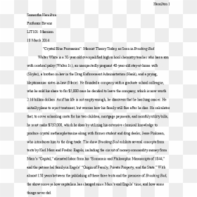 General Reflection Of Understanding The Self, HD Png Download - jesse pinkman png