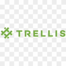 Graphic Design, HD Png Download - trellis png
