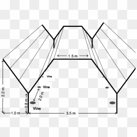 Y Trellis System In Grapes, HD Png Download - trellis png