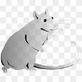 Peggy Hi Clipart Icon Png - Sprague Dawley Rats Cartoon, Transparent Png - peggy carter png