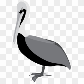 Pelican Clipart Vector - Pelicans Vector Png, Transparent Png - pelipper png