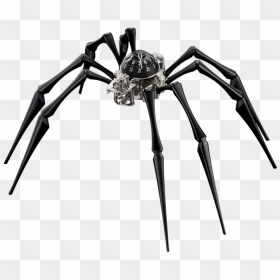 Telling The Time With Two Hands And Eight Legs - Spider Legs Png, Transparent Png - spider legs png