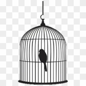 Bird In Cage Silhouette, HD Png Download - maya angelou png