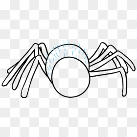 How To Draw Cartoon Spider, HD Png Download - spider legs png