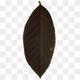 Grime Texture Png, Transparent Png - grime texture png