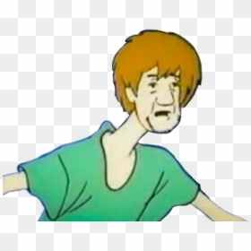 #reaction #what #whoa #shaggy #meme #wtf #stop #scoobydoo - Scooby Doo Reaction Meme, HD Png Download - shaggy scooby doo png