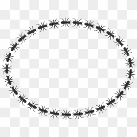 Ant Border Ellipse - Circle Png Gif, Transparent Png - logo border png