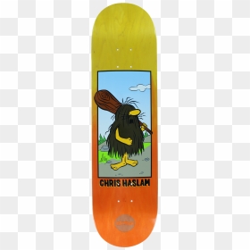 Almost Captain Caveman Skateboard Deck - Skateboard Deck, HD Png Download - skateboard deck png