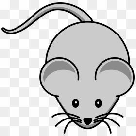 Mouse Clip Art, HD Png Download - bigotes png