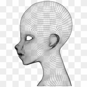 Boy Wireframe Head - Wireframe Head Png, Transparent Png - wireframe png