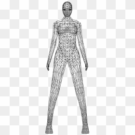 Human Clipart Wireframe - Female Body Low Poly Wireframe, HD Png Download - wireframe png