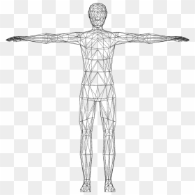 Low Poly Human Male Wireframe Clipart - Transparent Human Body Clipart, HD Png Download - wireframe png